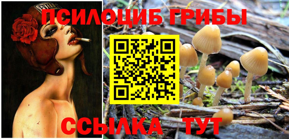 Галлюциногенные грибы Cubensis  Вход с VPN  Мытищи 